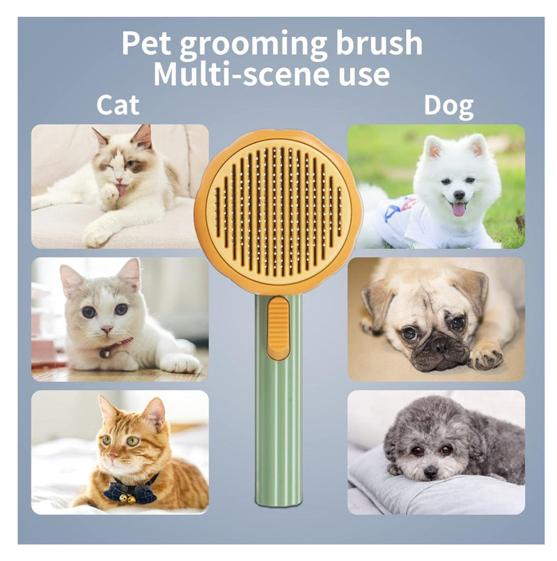 Peine Removedor Pelo Gato Redondo